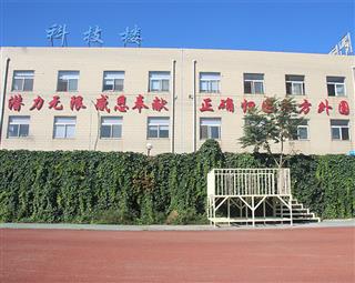 校园风光